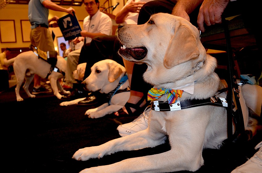 Nine canines and their human companions graduated at the ceremony.