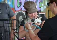 Amanda Gworek holds kitten Kokomo.