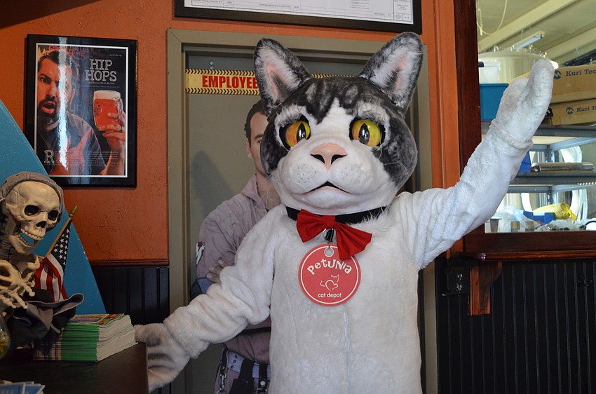 Cat Depot mascot Petunia