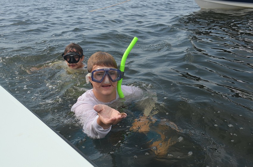 Finn Johnson, 14, and William Giraldo, 14 discover a starfish.
