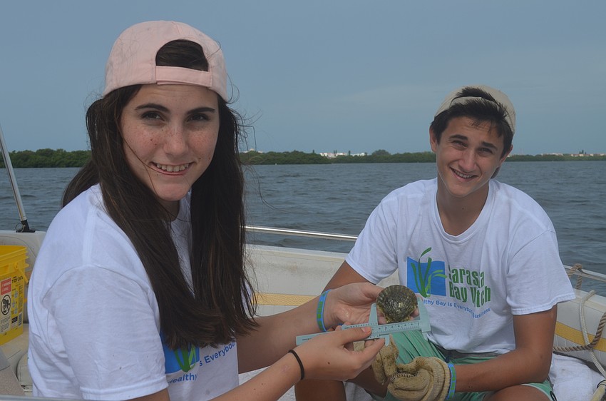 Ellie Martin, 14, measures a scallop with her brother, Jack.