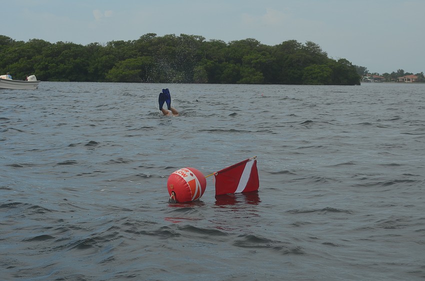 More than 140 citizen scientists search for scallops.