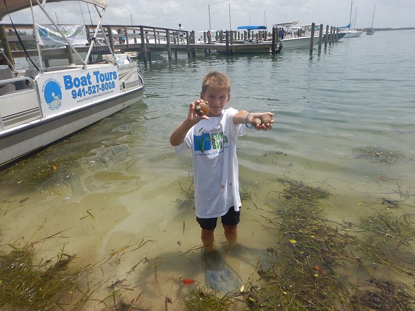 Patrick Blanker finds scallops.