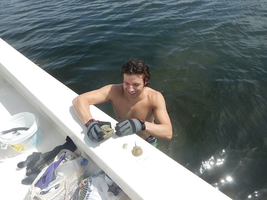 John Okovach finds scallops and other marine life.