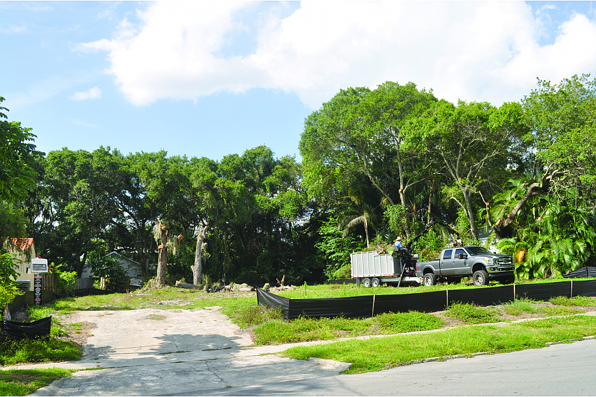 Workers cleared trees from this Hudson Bayou lot earlier this year â€” a phenomenon residents are calling on the city to address.