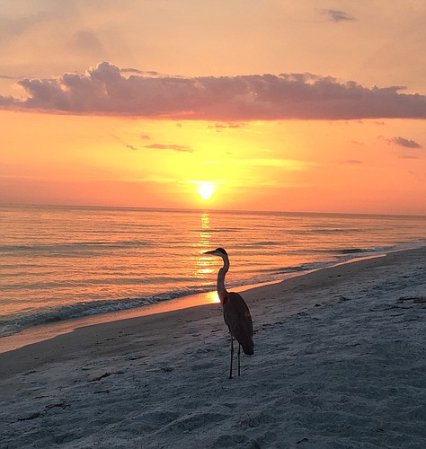 Joy Knight submitted this photo of a birdâ€™s-eye view of sunset on Longboat Key.