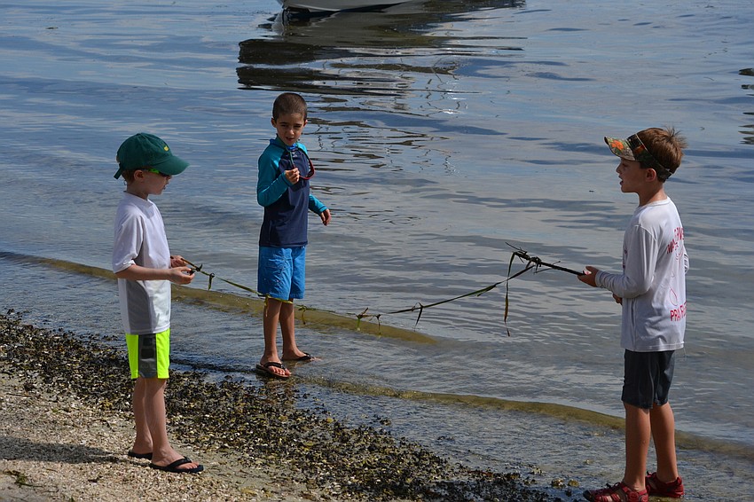 Brady Moyer, Adam Mendelblatt and Max Freund play along the shore while they wait for the go ahead to set sail.