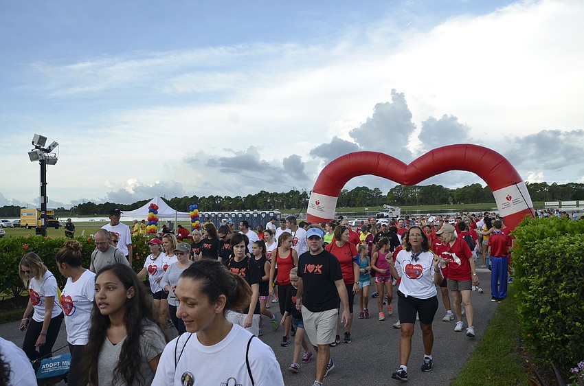Hundreds charged through the Heart Walk heart to start the walk.