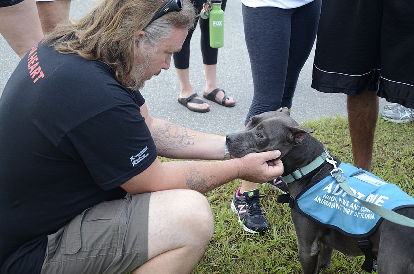 Darrell LaCourse fell in love with Bluebelle, a 1-year-old Staffordshire with Hooves, Paws and Claws Animal Rescue in Myakka. 