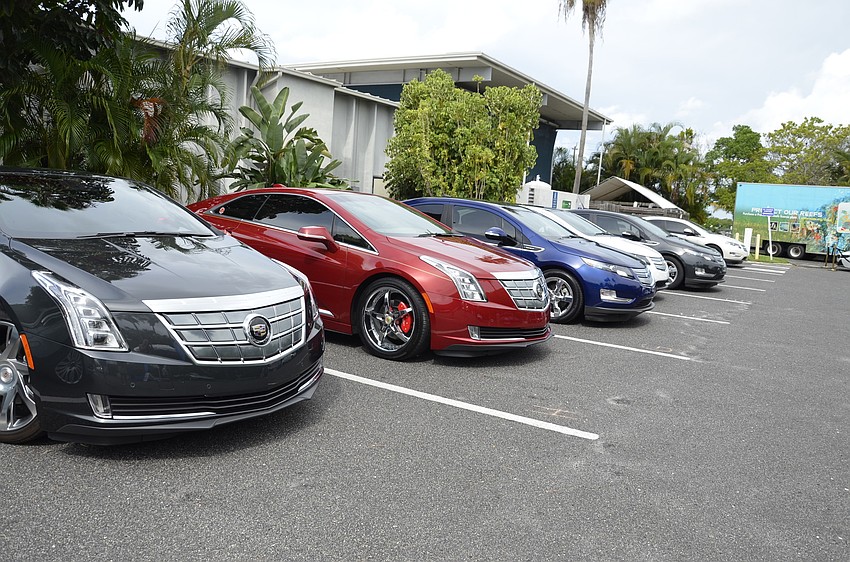 Different car dealerships from around the area brought in electric and hybrid models.