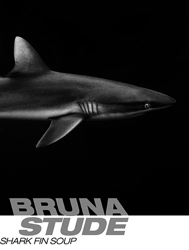 Photographer Bruna Stude focuses on the plight of the shark and the ocean in her show at the Alfstad& Contemporary gallery.