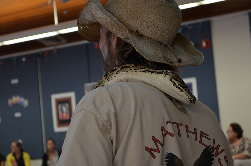 Axel Rose the Burmese python starts to slither around handler Justin Matthews.