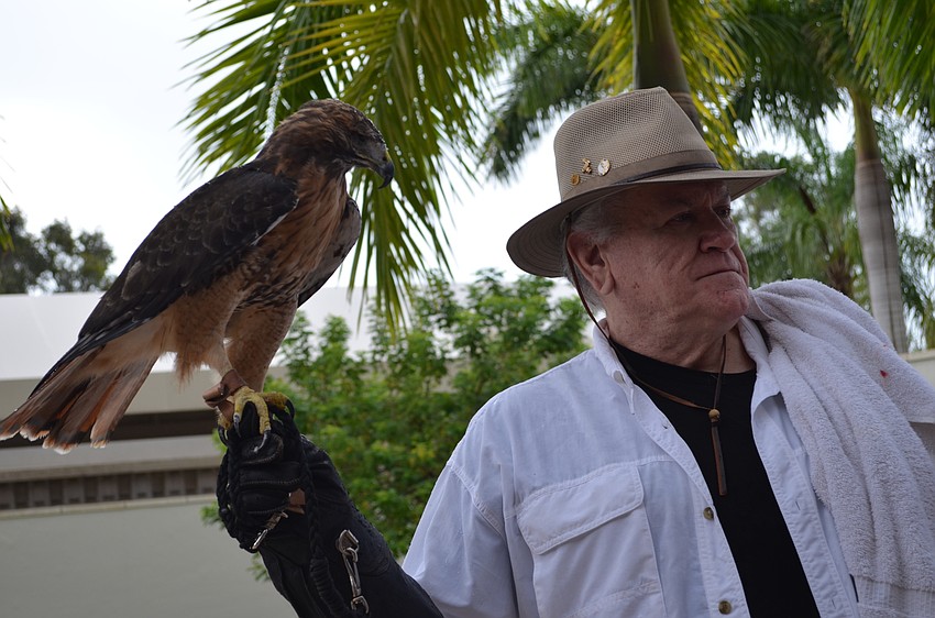 Jim Solomon from Save our Seabirds with Buck a red-tailed hawk.