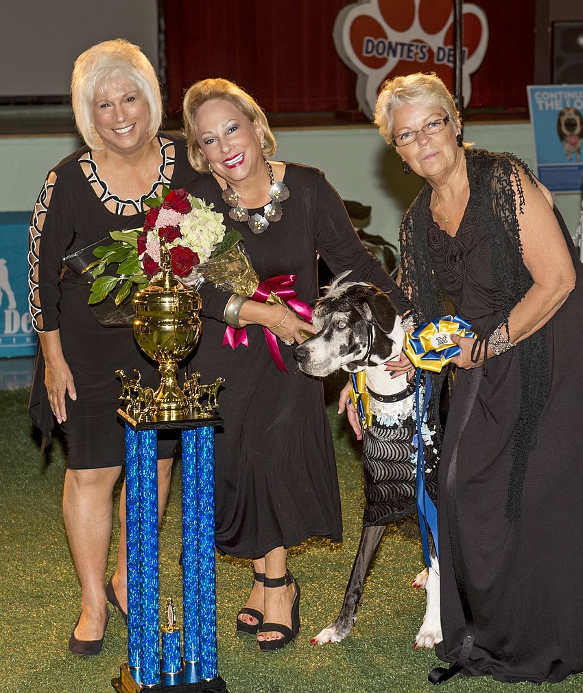 Marsha Panuce, Susie Steenbarger, Susie Elsea with 