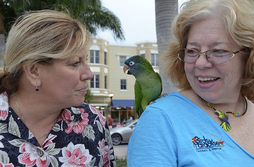 Cindy Gordon and Gloria Schroeck, members of the Avian Club, talk with Chewy, a female Blue Crown Conure.