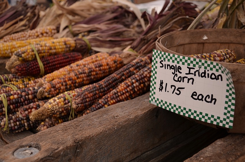 Hunsader Farms opened its market for customers, selling autumnal items like pumpkins and Indian corn.