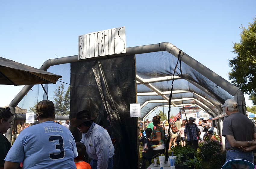 Go Natural Organics from Lakeland ran a butterfly tent.