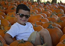 Jackson Lewicke of Clearwater is making Hunsaders' pumpkins look stylish.