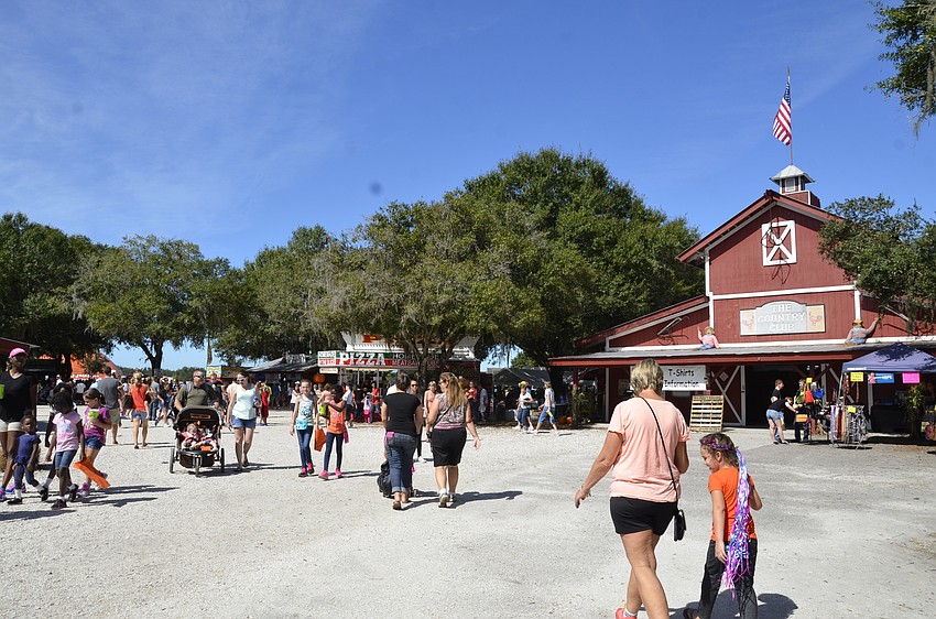 Hundreds flooded the first day of the pumpkin festival.