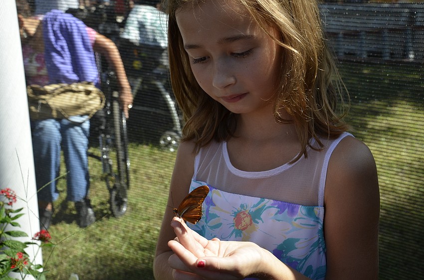 Sarah Prohidney of Parrish carefully watched the butterfly that landed on her finger.