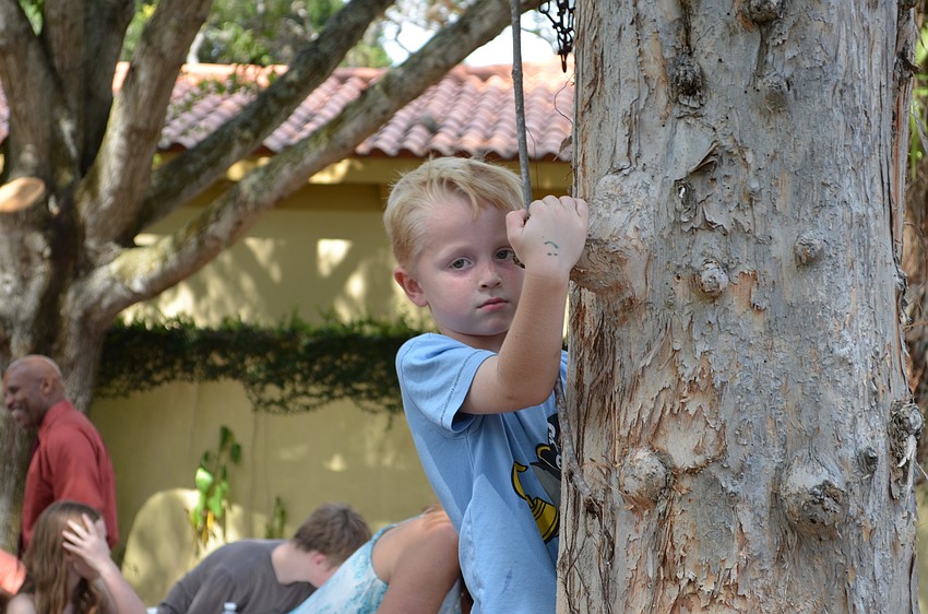 Owen Boyle climbs one of the trees at the picnic.