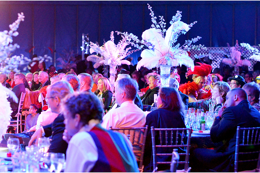 Circus performers captivate the audience at the 2015 Circus Arts Gala.