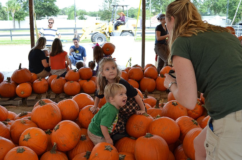 Lillian and Owen Sharpenter frolic in the pumpkins while there mother Lindsay Sharpenter tries to snap a photo.
