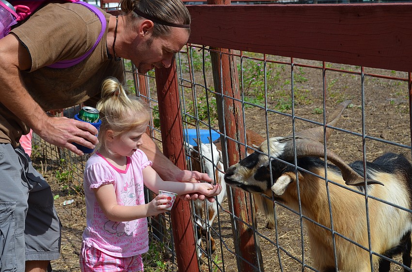 Michael Ledford and his daughter Lexi help feed some of the Fruitville Grove goats.