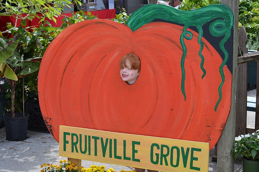 Jack Gingras pokes his head through the pumpkin cutout.