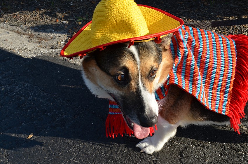 Ryu dressed as a walking fiesta.