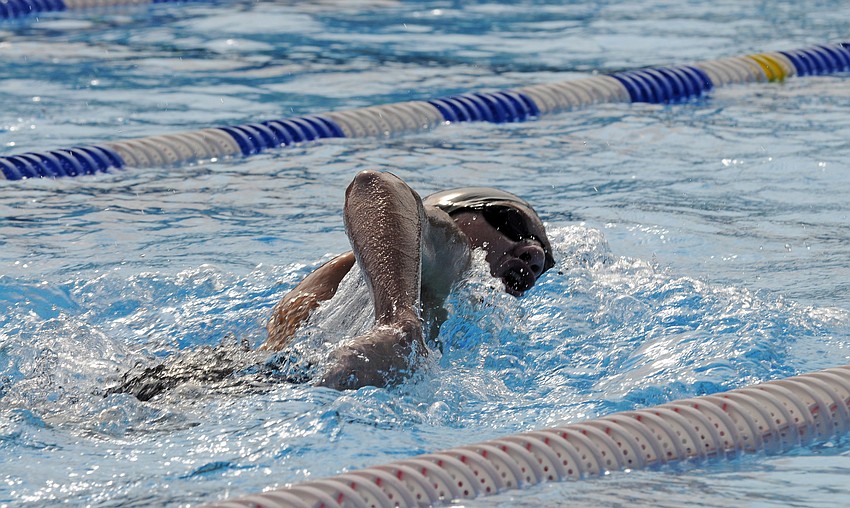 Sarasota's Sam Stringer heads for the wall in the 200-yard freestyle.