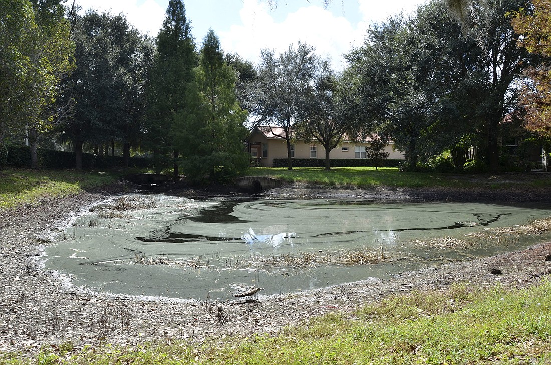 Residents say this pond, which is used to catch drainage from Tara Boulevard, smells bad and collects trash.