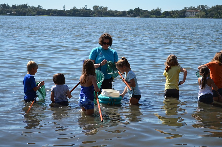 Kat Giguere from Around the Bend Nature leads a group through the waters at Bay Preserve with nets and buckets.