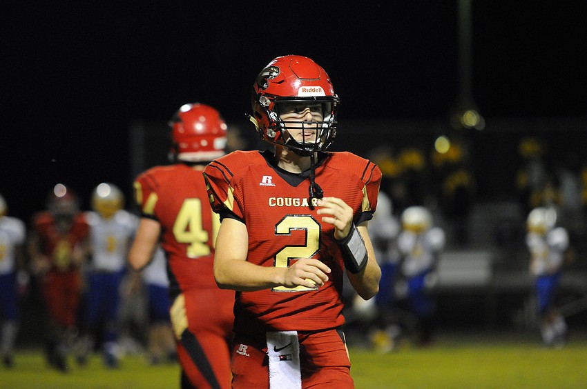 Cardinal Mooney quarterback Tristan Hillerich completed 10-of-18 passes for 136 yards.