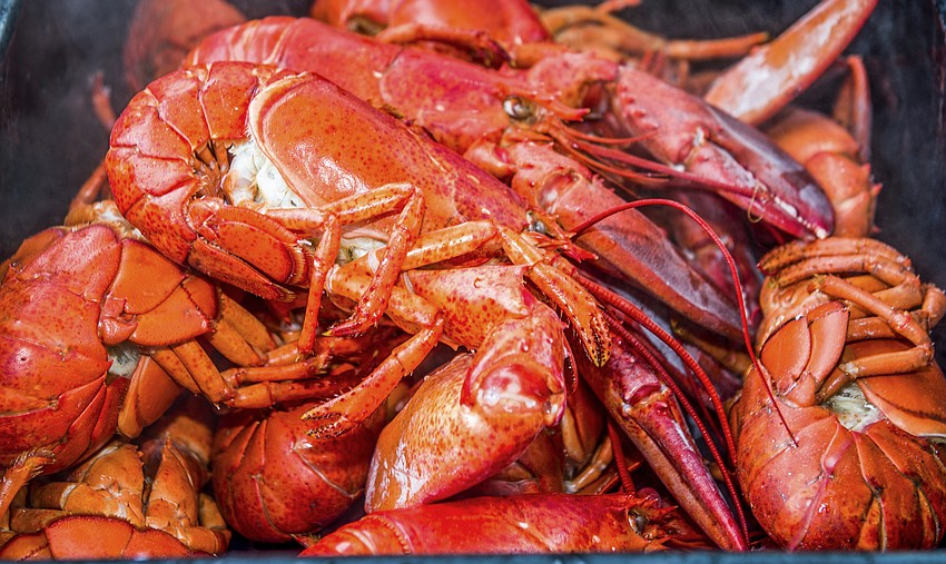 The finest lobster from Michael's On East!