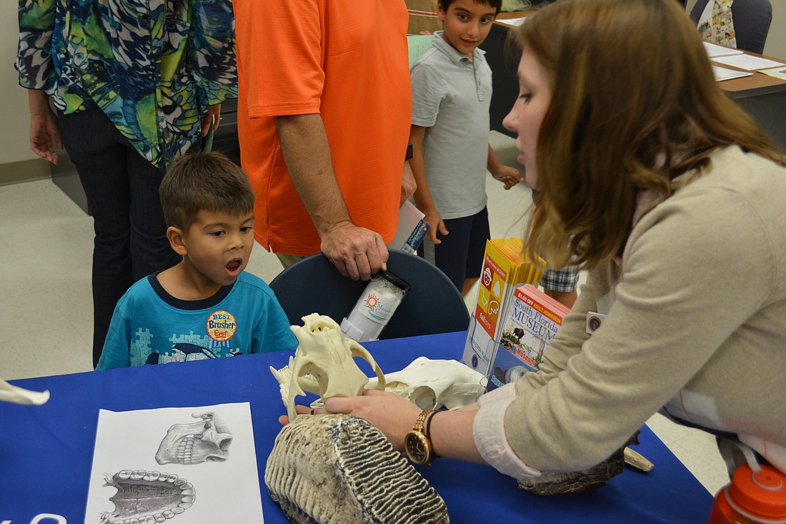 Luca Munoz, a kindergarten student at Gullett, gets up close and personal with a fossil held by Meghan Murphy of the South Florida Museum at STEM night.