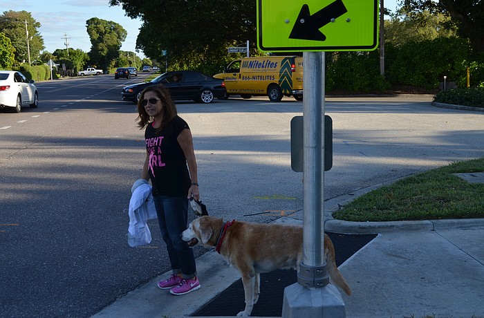 Joanne Assaly of Country Club Shores and her dog, Toby, 10, brave the crosswalk at the Country Club Shores beach access at Longboat Club Drive in the 1000 block of Gulf of Mexico Drive Nov. 24 and had to wait for 10 cars to whiz by them before they could
