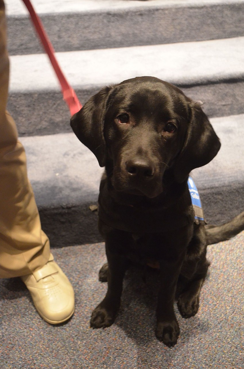 Sandy is now 6 months old.