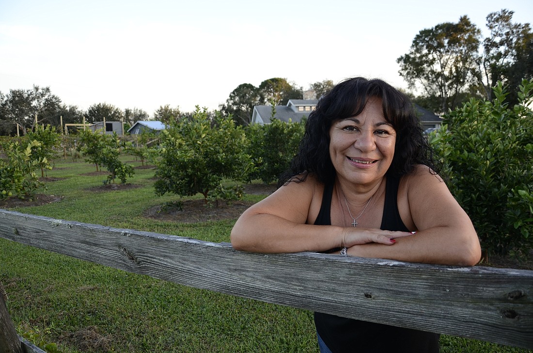 Margie Hernandez started developing her property into a fruit and produce grove about six years ago.