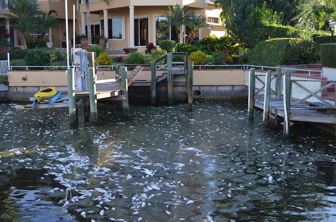 Dead fish in bayside canals will be cleaned out of Key canals Tuesday and Wednesday.