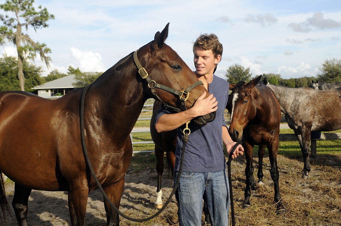 Polo professional Nick Johnson has been training horses at the Sarasota Polo Club for the past three years.