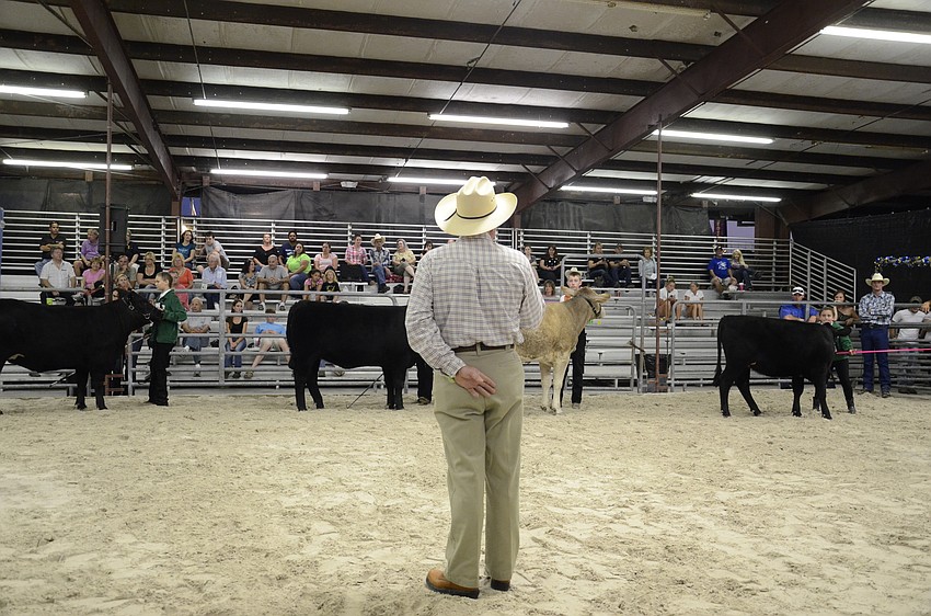 Andy Andreasen, the show judge, talks about his observations during one class of the show.