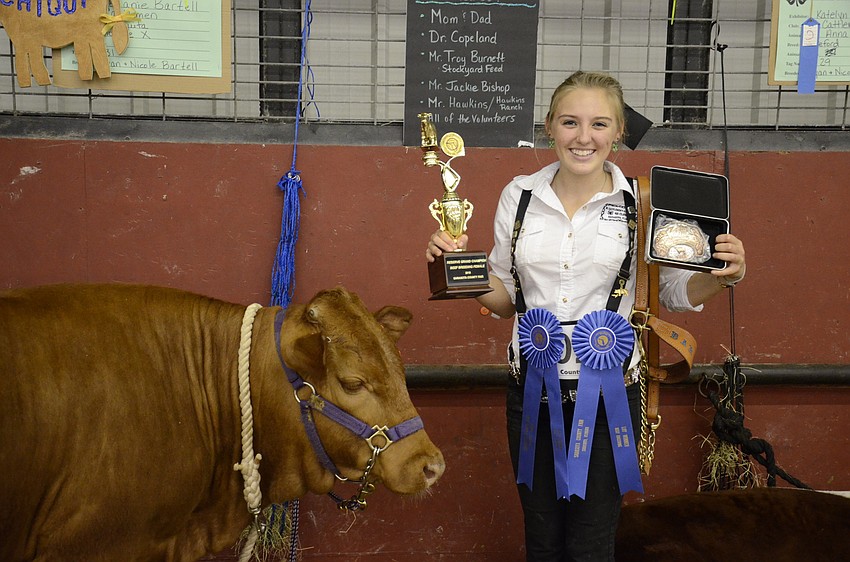 Delanie Bartell won several classes as well as Reserve Grand Champion.