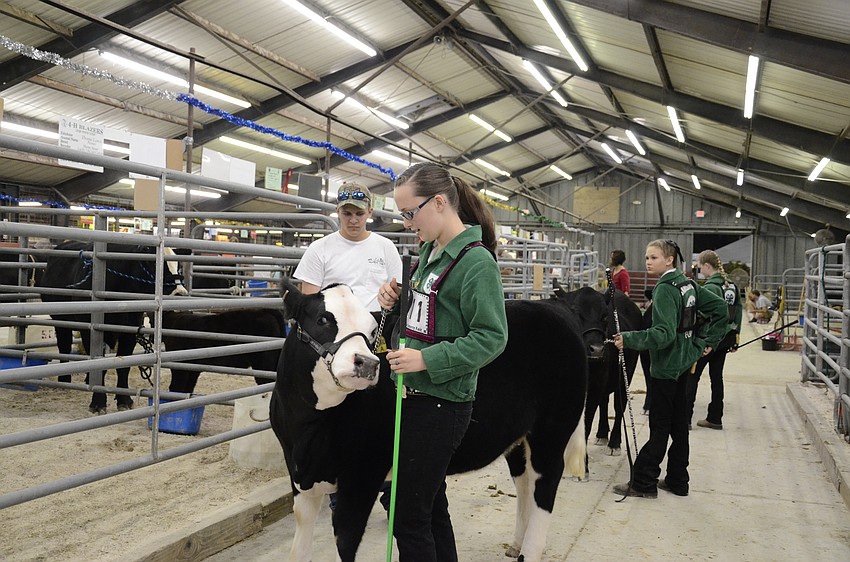 Deana Lewis waits in line to enter the show ring for the next class.