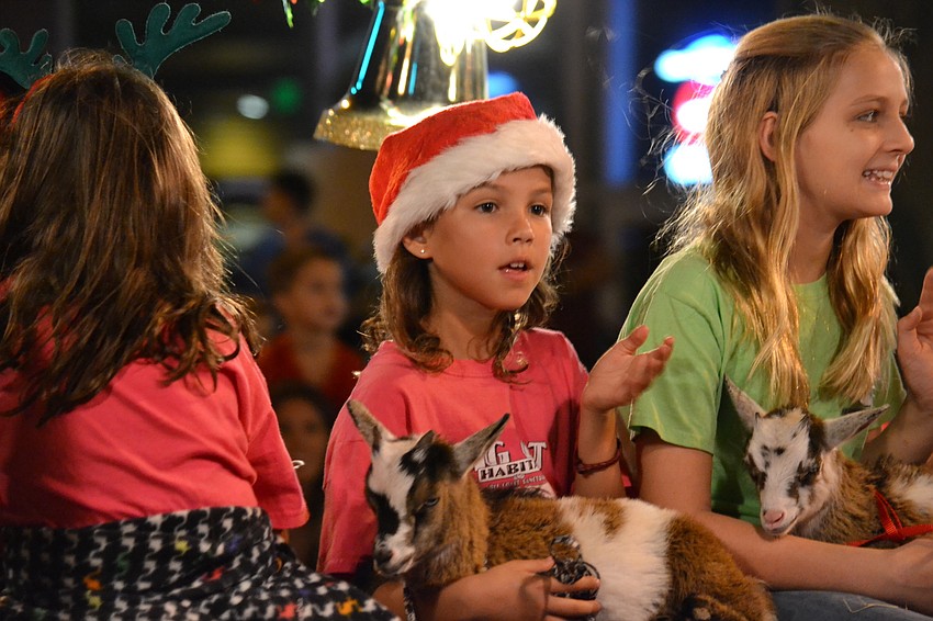 A float with goats followed the Big Cat Habitat group.
