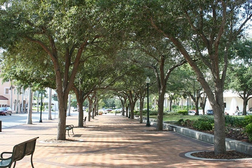 The city removed benches from Five Points Park in 2011, a move intended to curtail problems associated with gatherings of homeless individuals in the area.