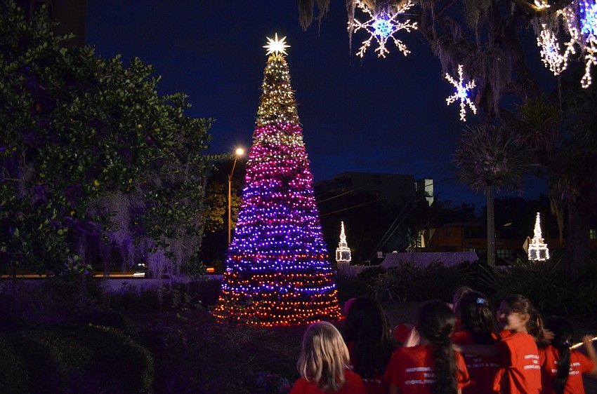 The bromeliad tree lights up the night.