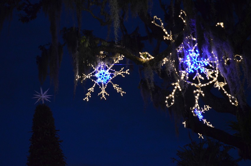 Snowflakes hanging from the trees hint to what is in store for Lights in Bloom starting Dec. 18.