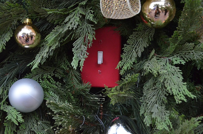 The switch that controls the lights for the bromeliad tree.