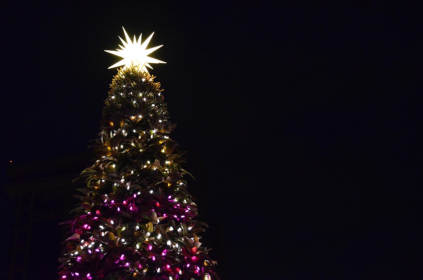 The bromeliad tree reaches 25 feet into the air.